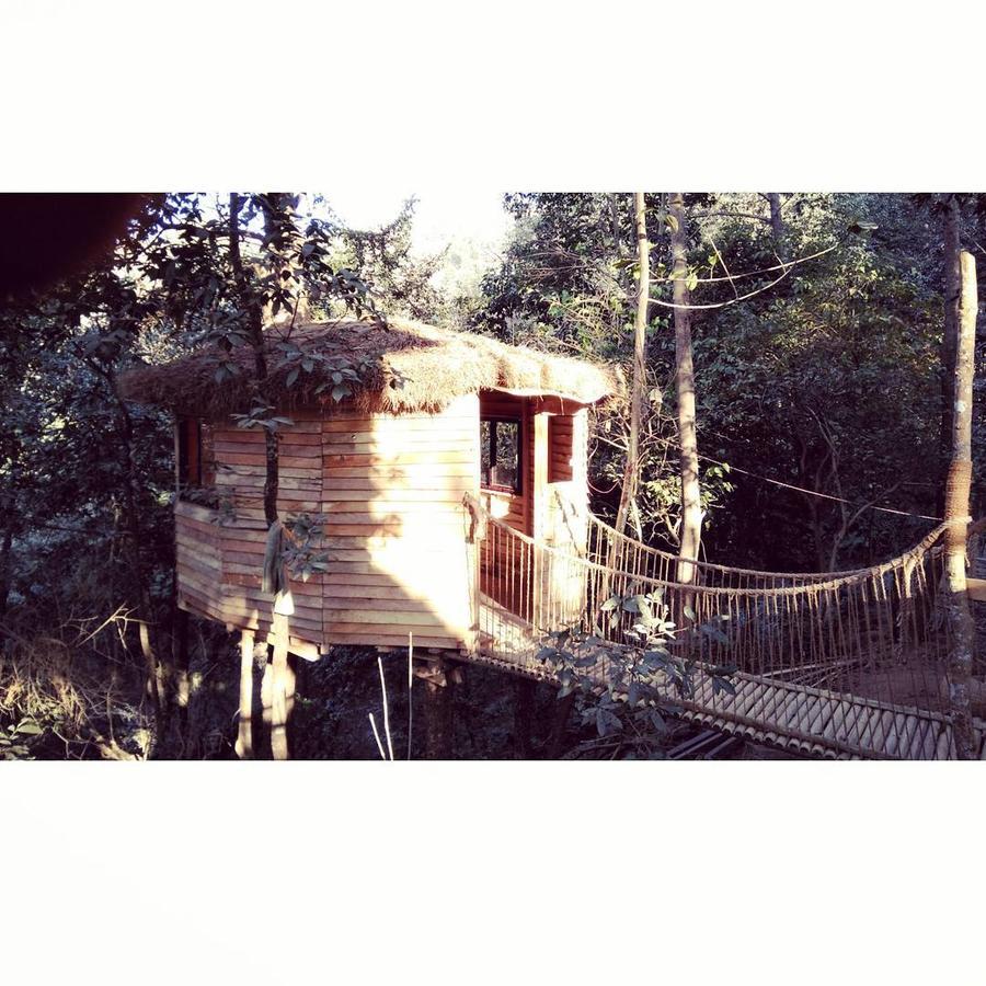 Bunjungle Adventures Catmandu Exterior foto